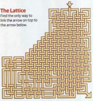 maze.jpg